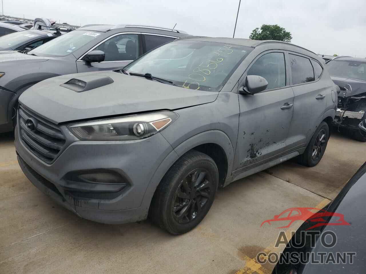 HYUNDAI TUCSON 2017 - KM8J33A44HU388266