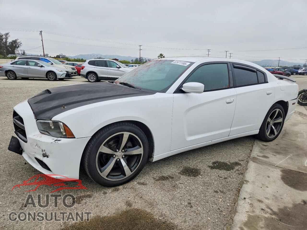DODGE CHARGER 2014 - 2C3CDXHG7EH359607