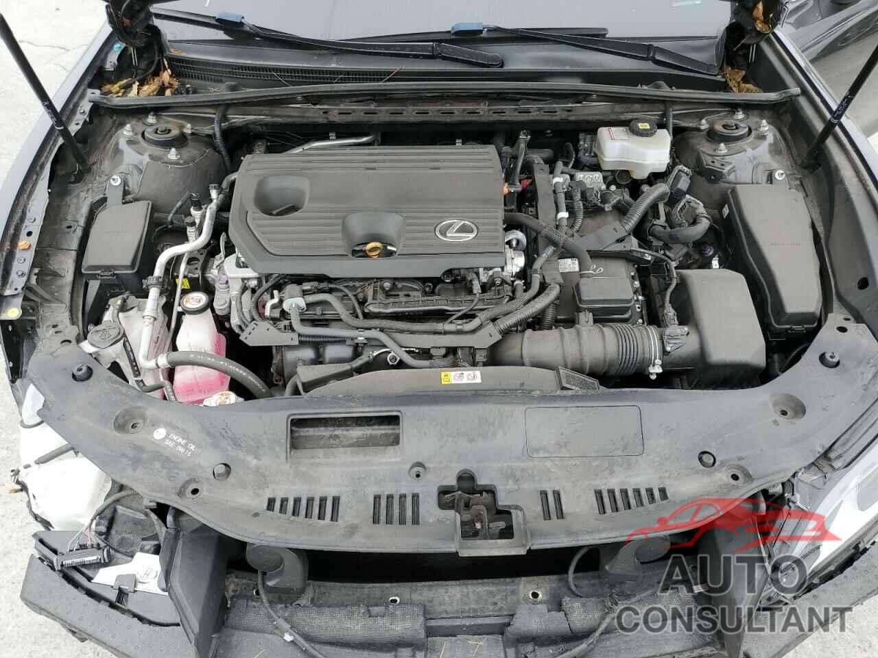 LEXUS ES300 2022 - 58ADA1C17NU021831