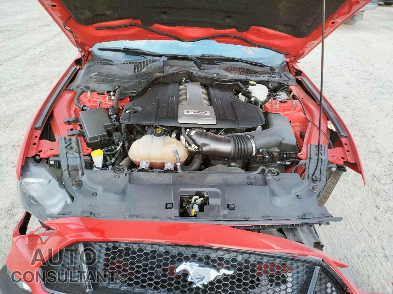 FORD MUSTANG 2019 - 1FA6P8CF6K5203300