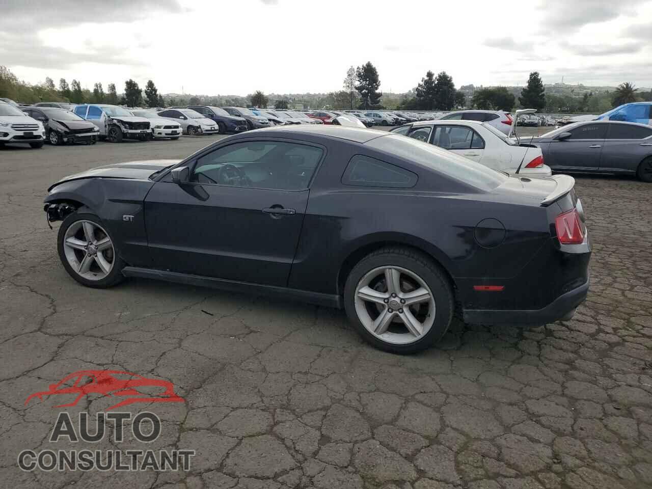 FORD MUSTANG 2010 - 1ZVBP8CH2A5134160
