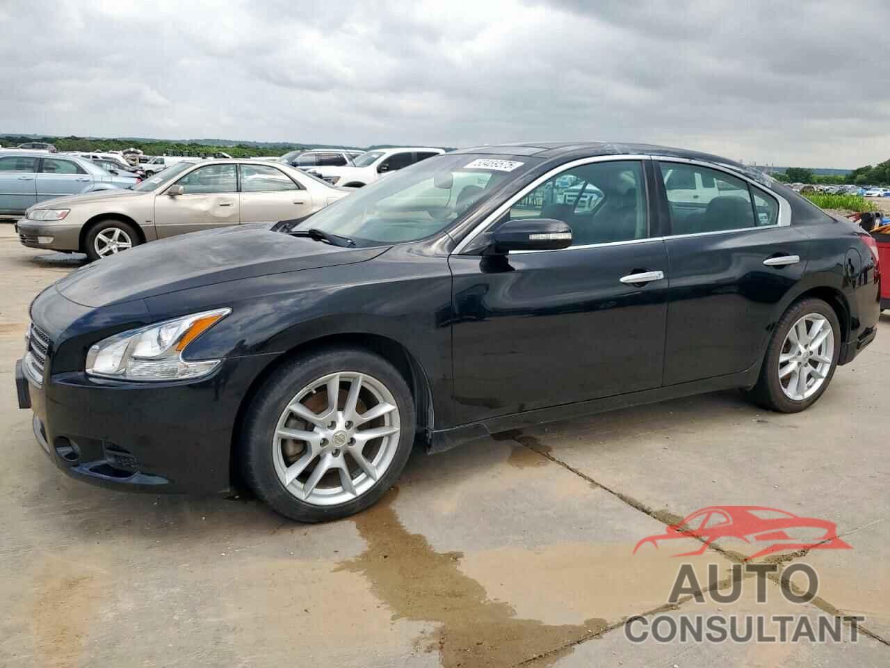 NISSAN MAXIMA 2010 - 1N4AA5AP3AC851435