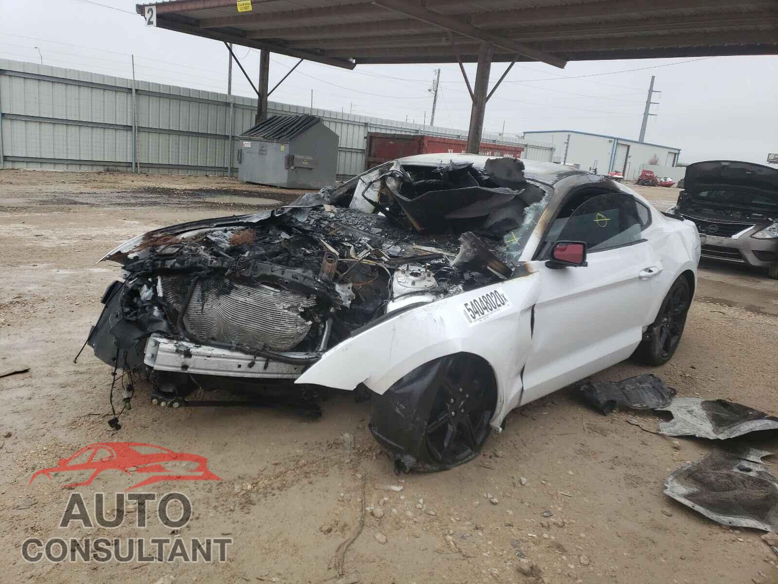FORD MUSTANG 2020 - 1FA6P8TH7L5130344
