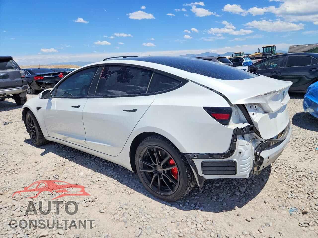 TESLA MODEL 3 2021 - 5YJ3E1EC3MF059669