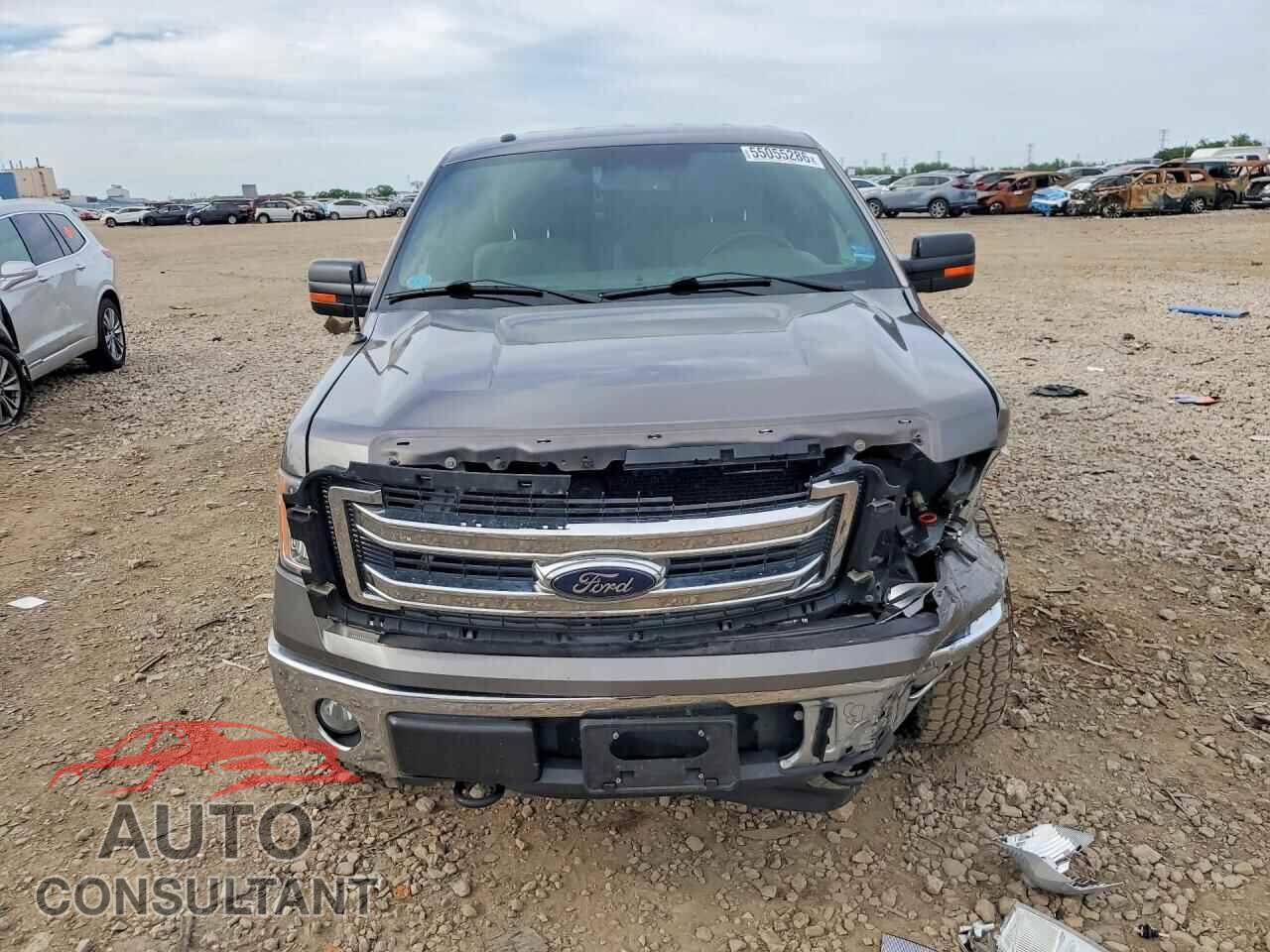 FORD F150 2013 - 1FTFX1EF9DFD96053