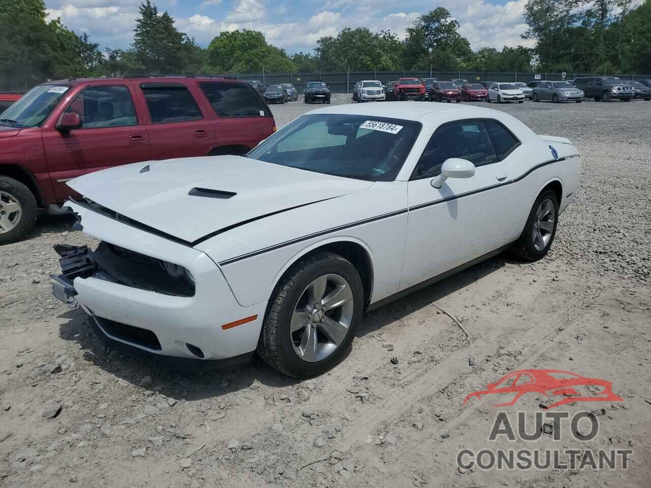 DODGE CHALLENGER 2019 - 2C3CDZAG5KH701895