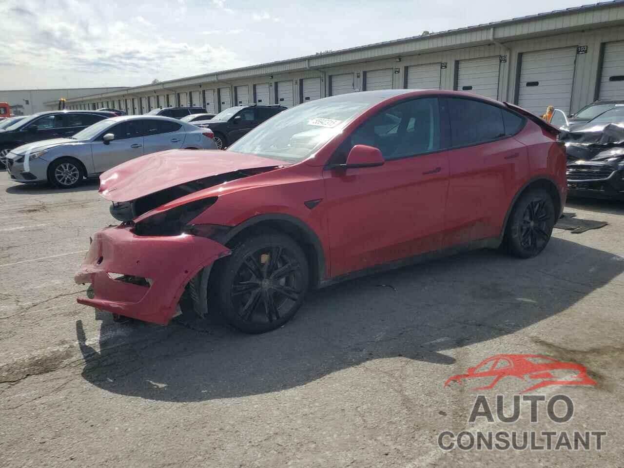 TESLA MODEL Y 2021 - 5YJYGDEE9MF293849