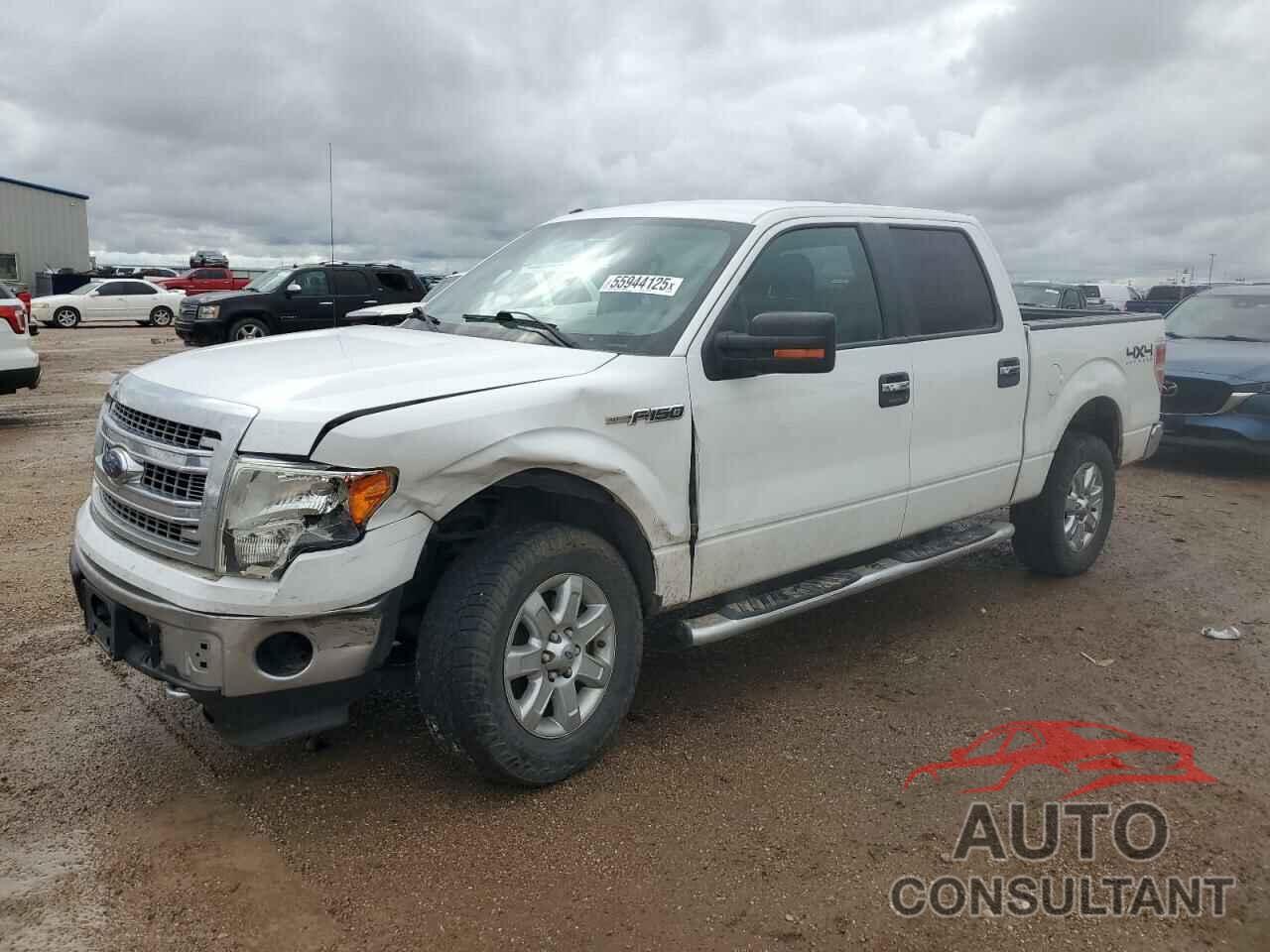 FORD F-150 2013 - 1FTFW1EF3DKE75616