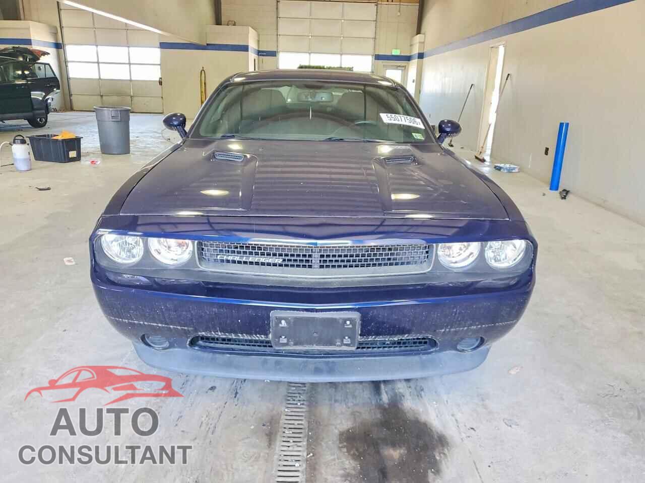 DODGE CHALLENGER 2013 - 2C3CDYAG4DH649415