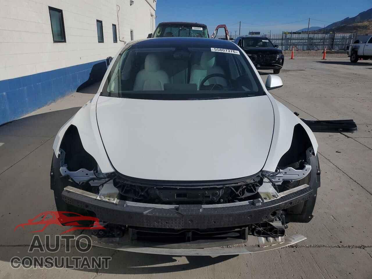 TESLA MODEL 3 2022 - 5YJ3E1EB3NF109950