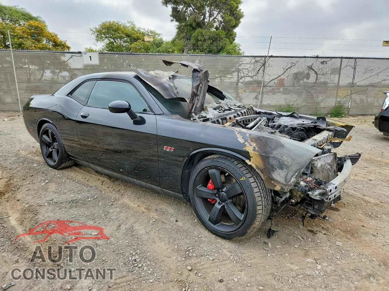 DODGE CHALLENGER 2013 - 2C3CDYCJ1DH501084