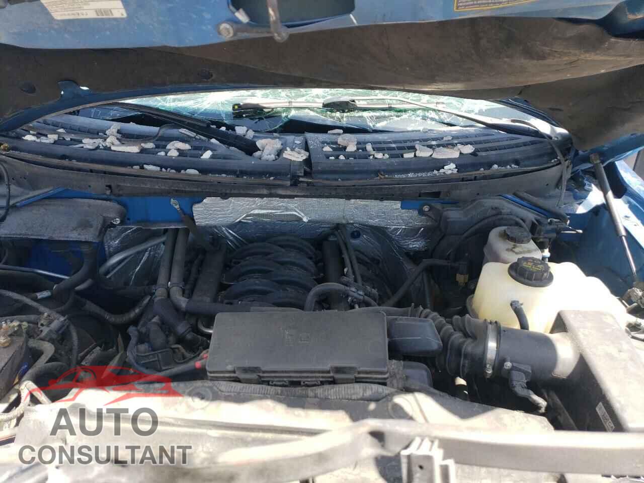 FORD F-150 2012 - 1FTFW1EF0CFA20357