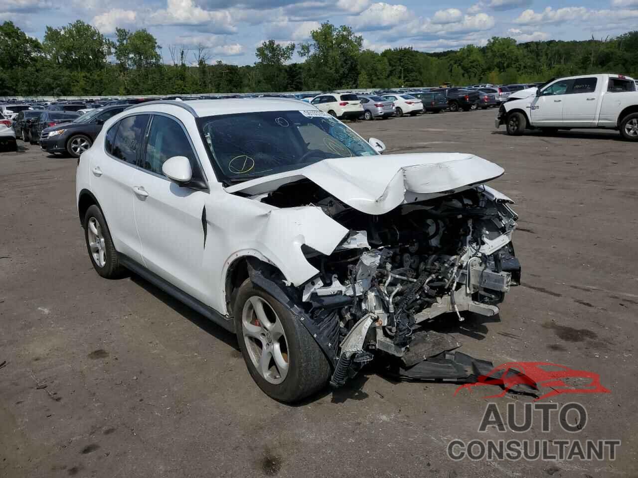 ALFA ROMEO STELVIO 2018 - ZASFAKANXJ7C19349