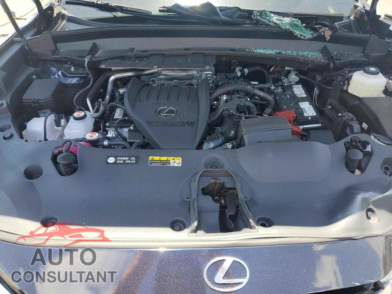 LEXUS UNKNOWN 2026 - 5TDAAAA67TS019799