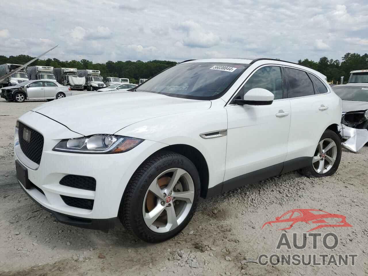 JAGUAR F-PACE 2019 - SADCJ2FX7KA368400