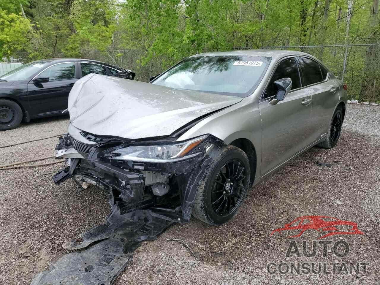 LEXUS ES300 2019 - JTHB21B14K2043342