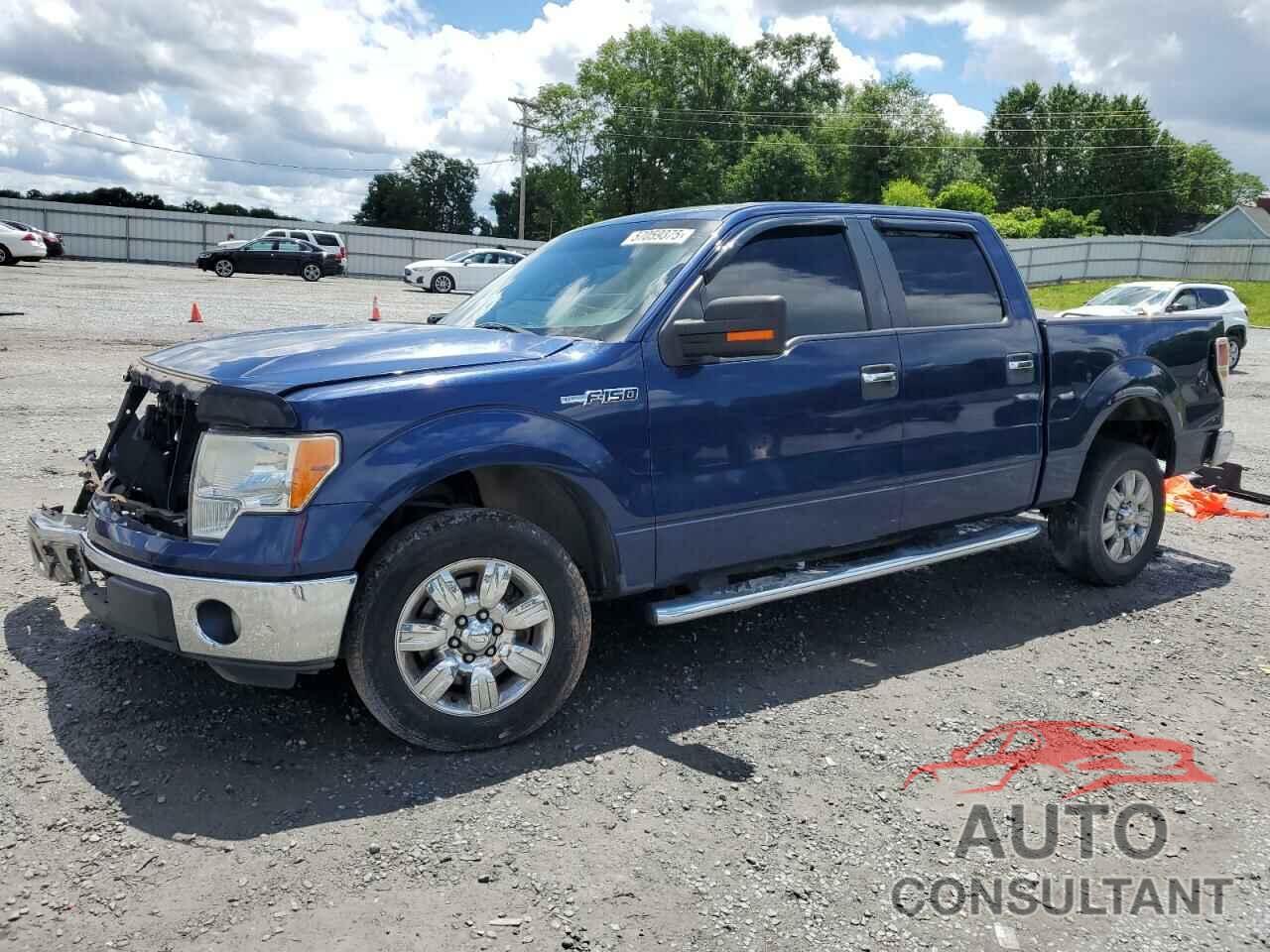 FORD F-150 2011 - 1FTEW1CM1BFB51650