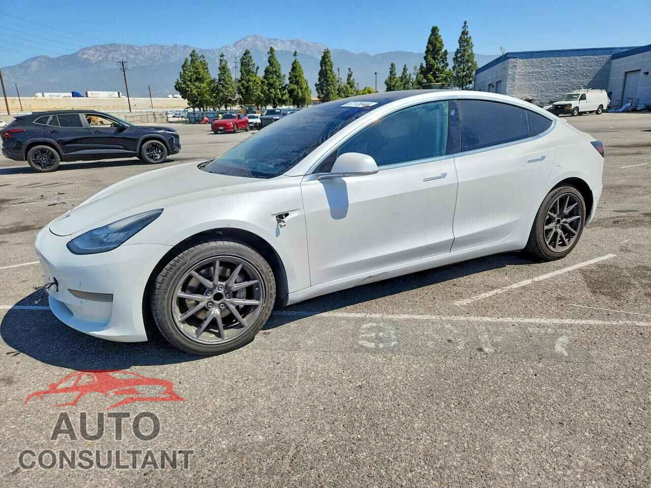 TESLA MODEL 3 2020 - 5YJ3E1EA5LF669876
