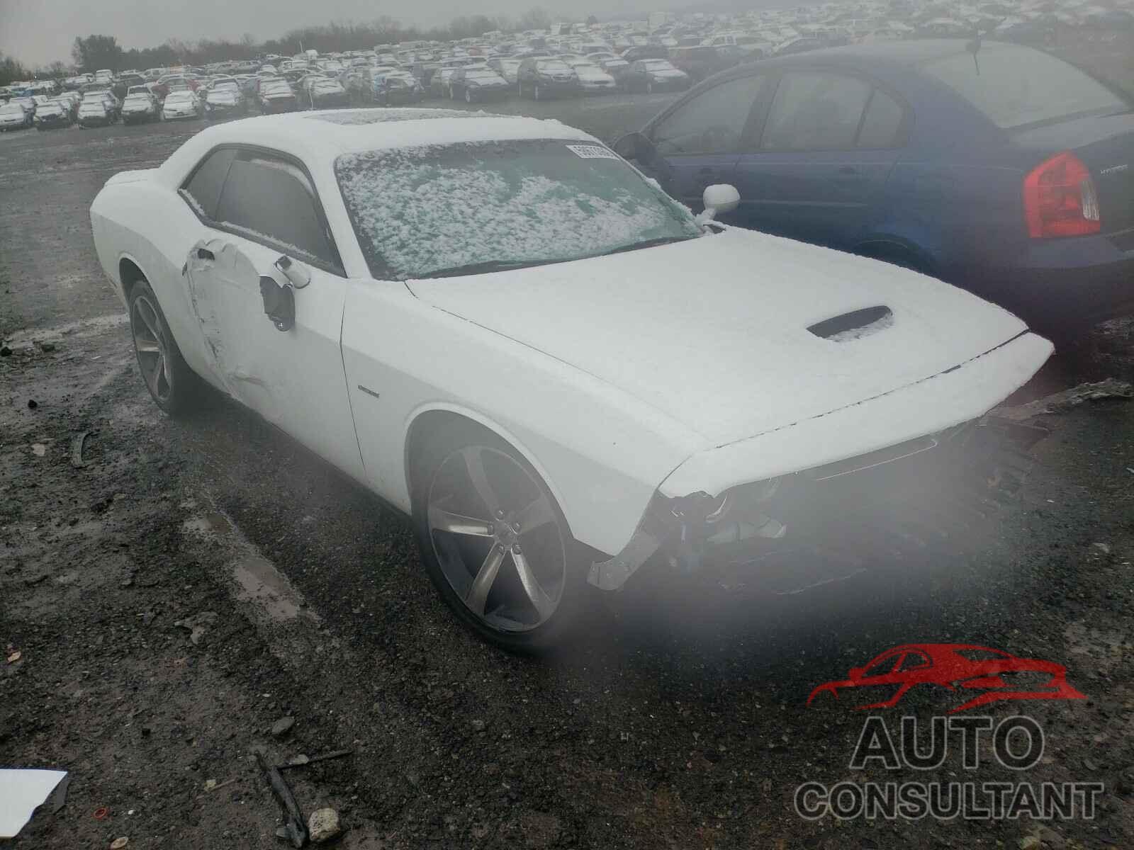 DODGE CHALLENGER 2019 - 2C3CDZBT0KH513457