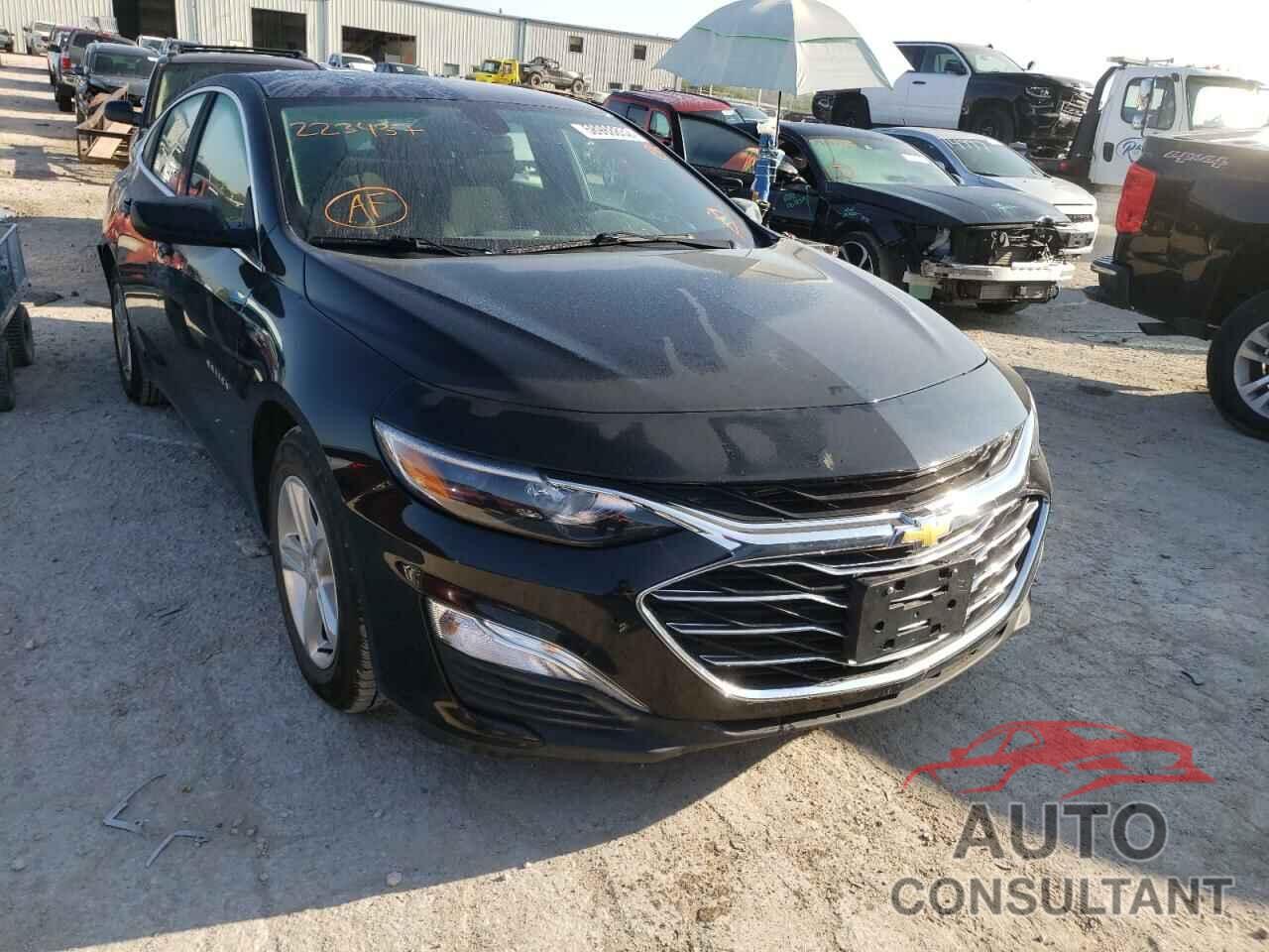 CHEVROLET MALIBU 2019 - 1G1ZB5ST3KF223437