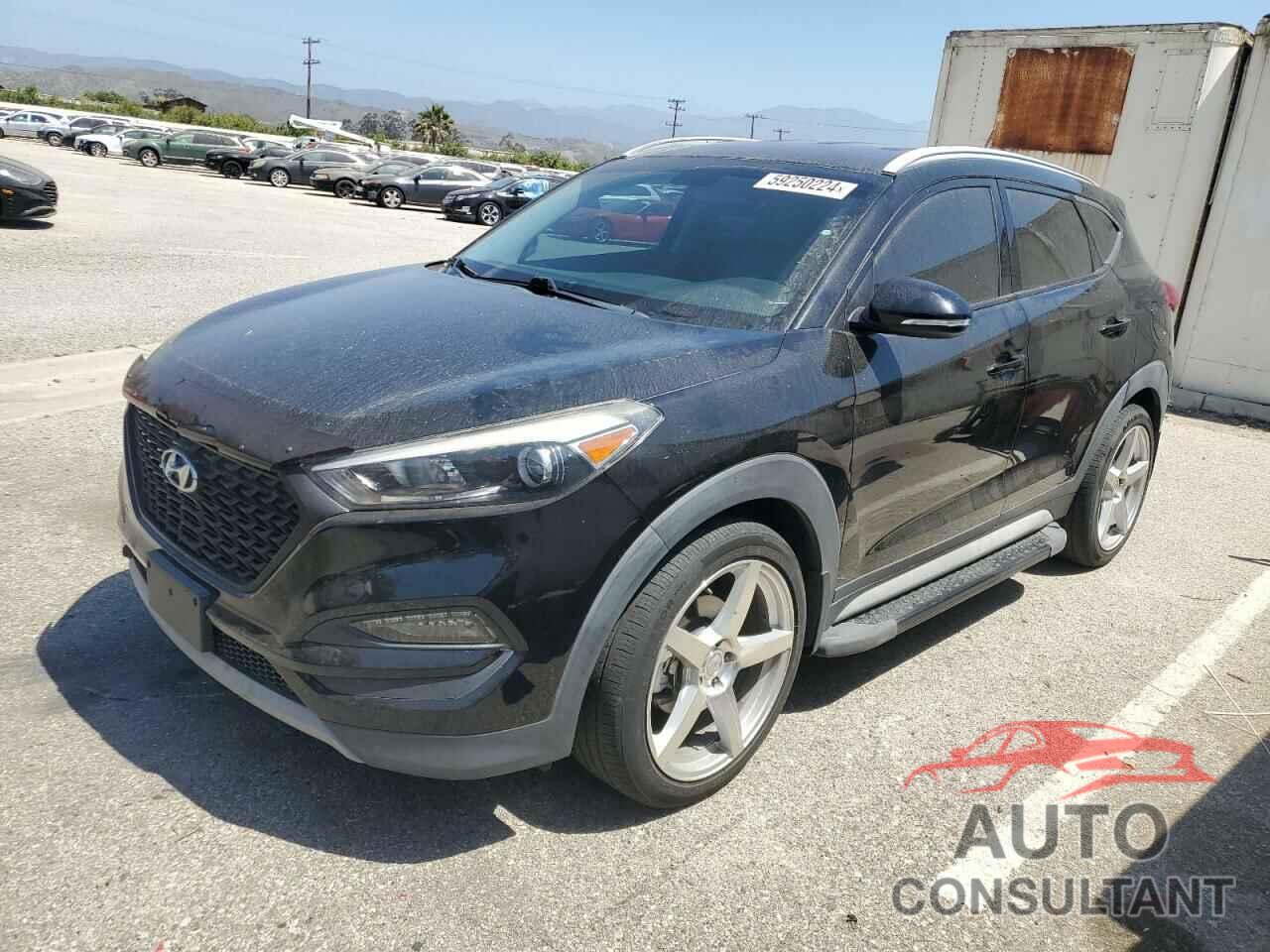 HYUNDAI TUCSON 2017 - KM8J33A21HU549378