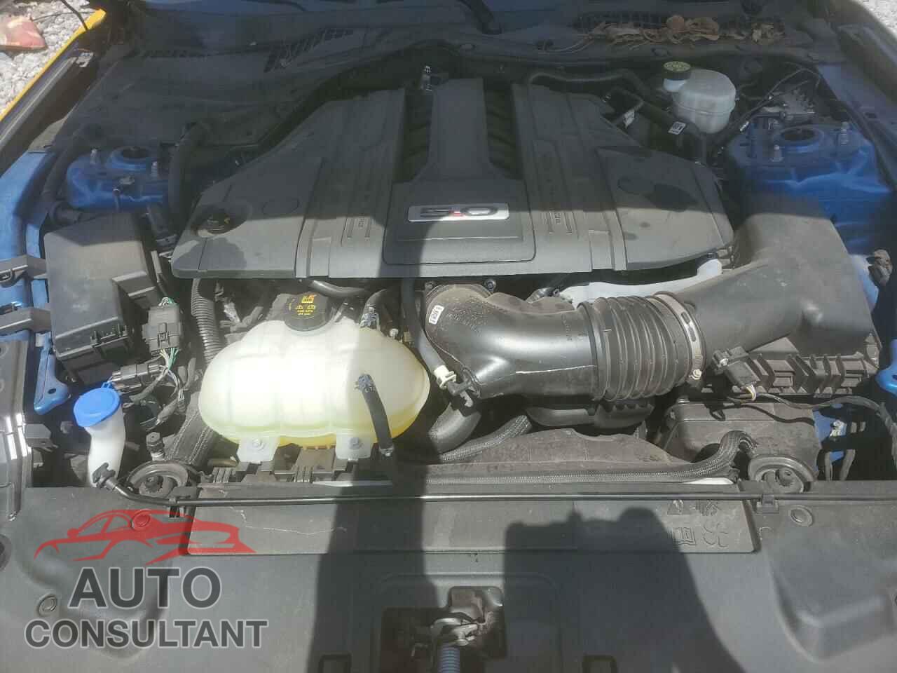 FORD MUSTANG 2021 - 1FA6P8CF5M5149541