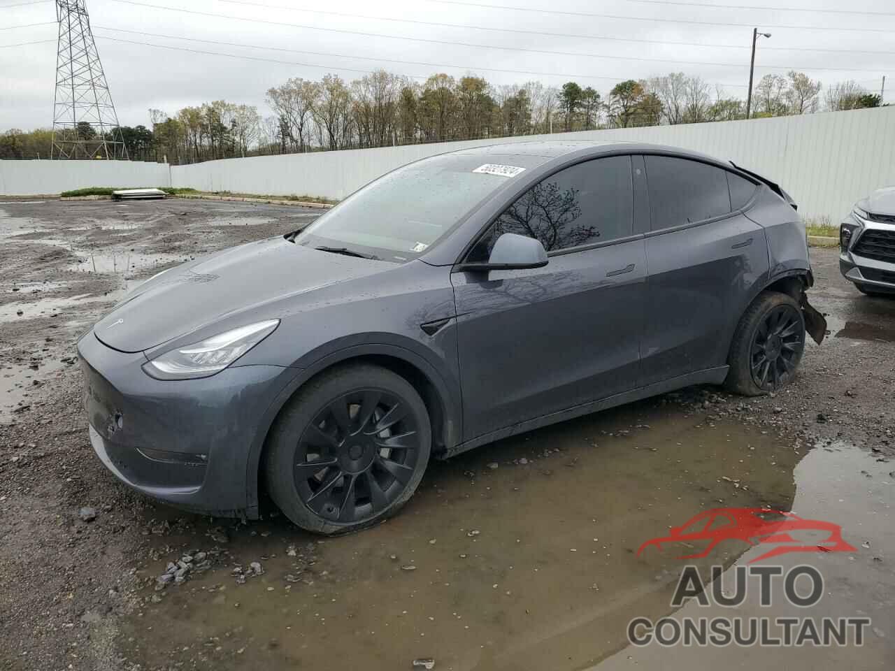 TESLA MODEL Y 2021 - 5YJYGDEE5MF184353