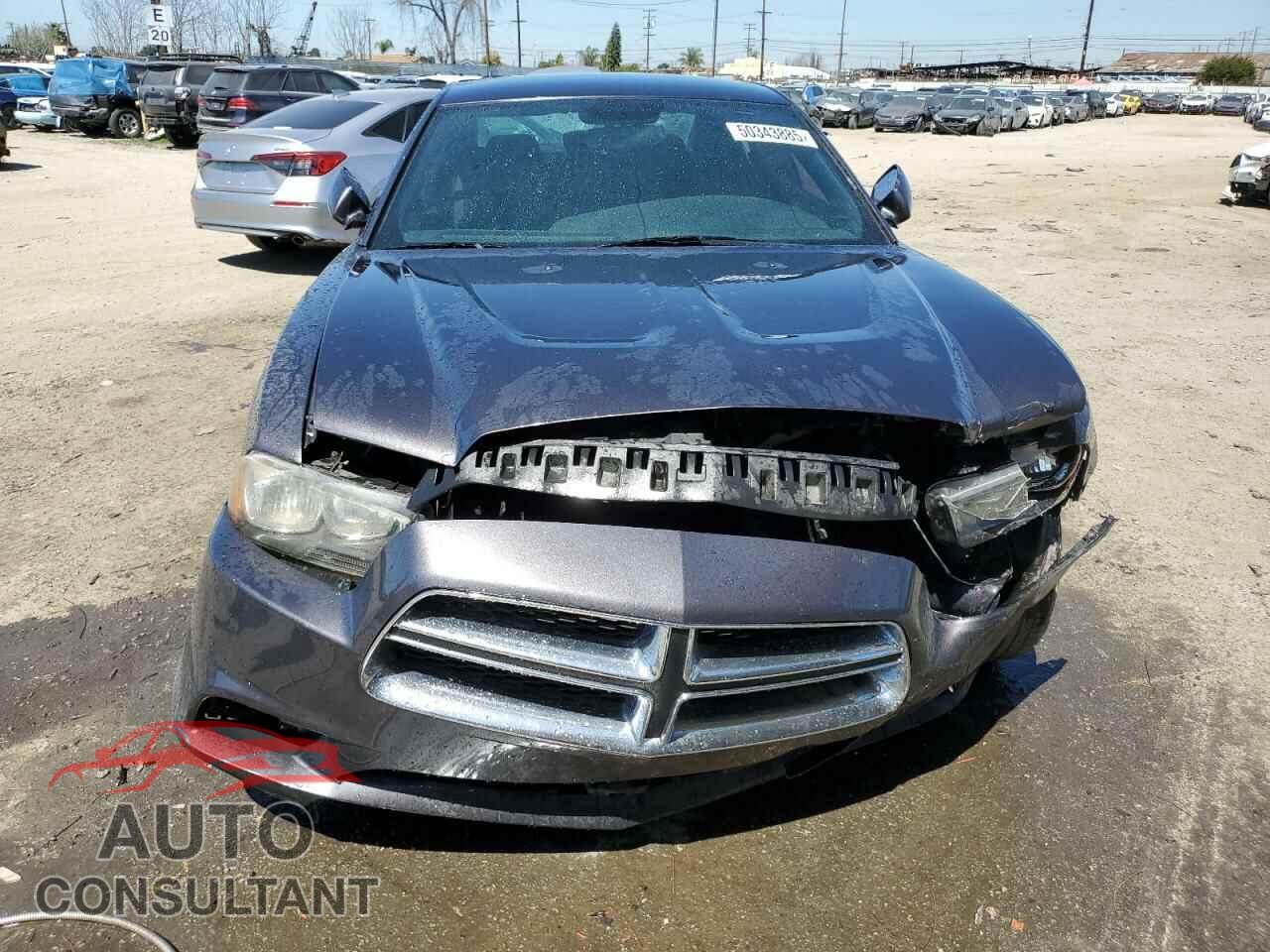 DODGE CHARGER 2014 - 2C3CDXBG8EH300848