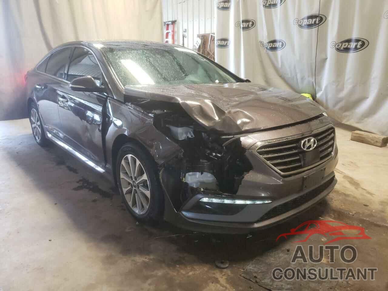 HYUNDAI SONATA 2016 - 5NPE34AF7GH322963