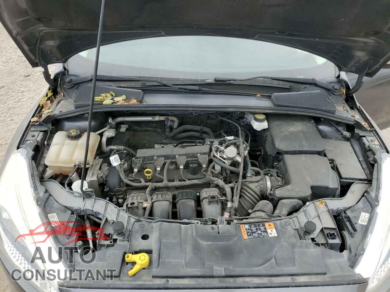 FORD FOCUS 2017 - 1FADP3F29HL341971