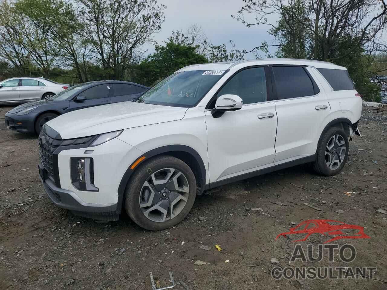 HYUNDAI PALISADE 2023 - KM8R5DGE3PU547294