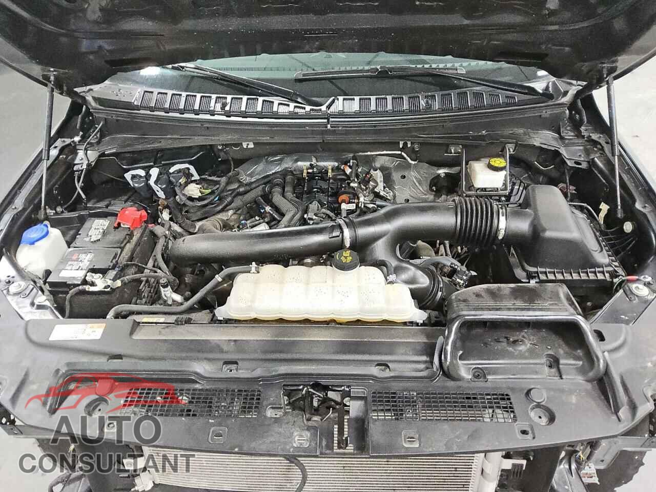 FORD EXPEDITION 2024 - 1FMJU2A86REA37381
