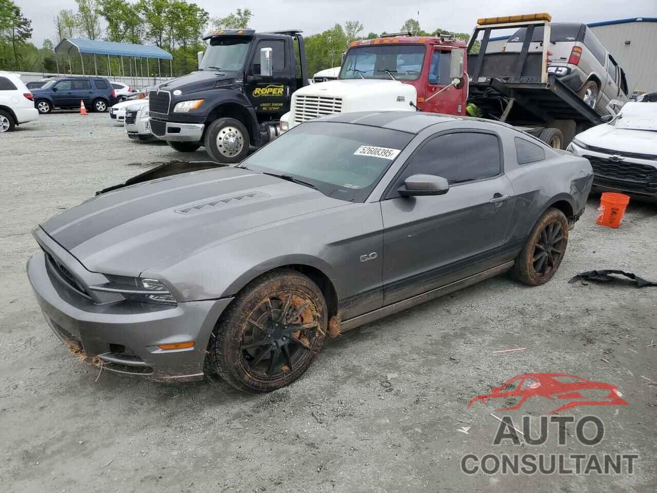 FORD MUSTANG 2014 - 1ZVBP8CF3E5211722