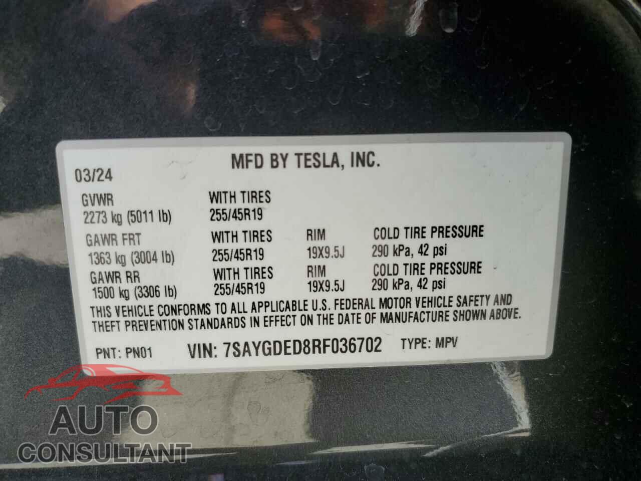 TESLA MODEL Y 2024 - 7SAYGDED8RF036702