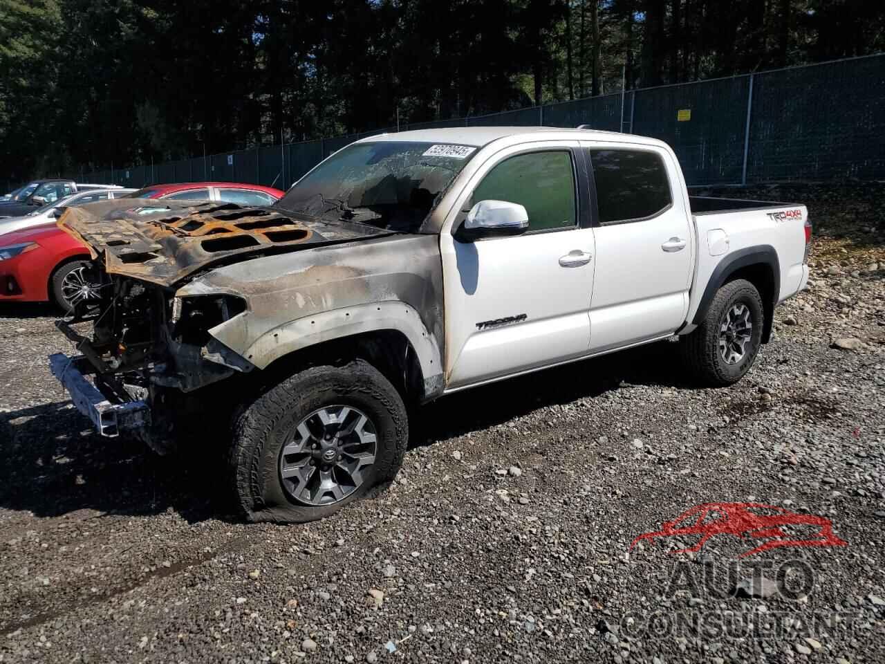 TOYOTA TACOMA 2023 - 3TMCZ5AN9PM637552