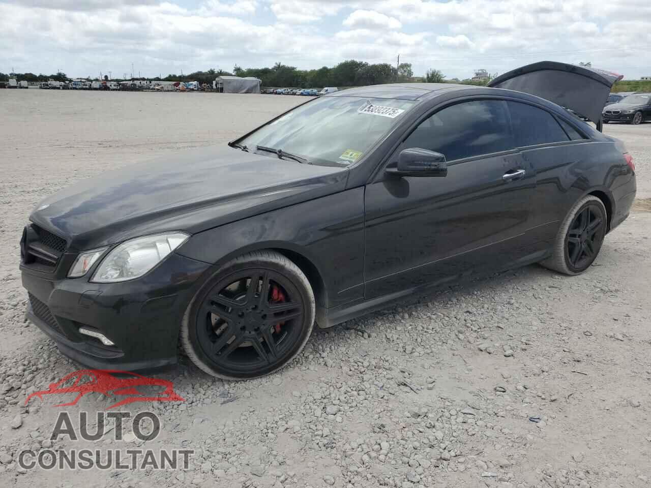 MERCEDES-BENZ E-CLASS 2011 - WDDKJ7CB1BF076201