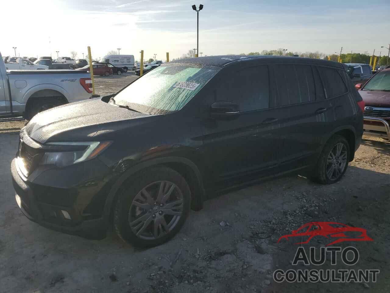 HONDA PASSPORT 2019 - 5FNYF7H56KB003404