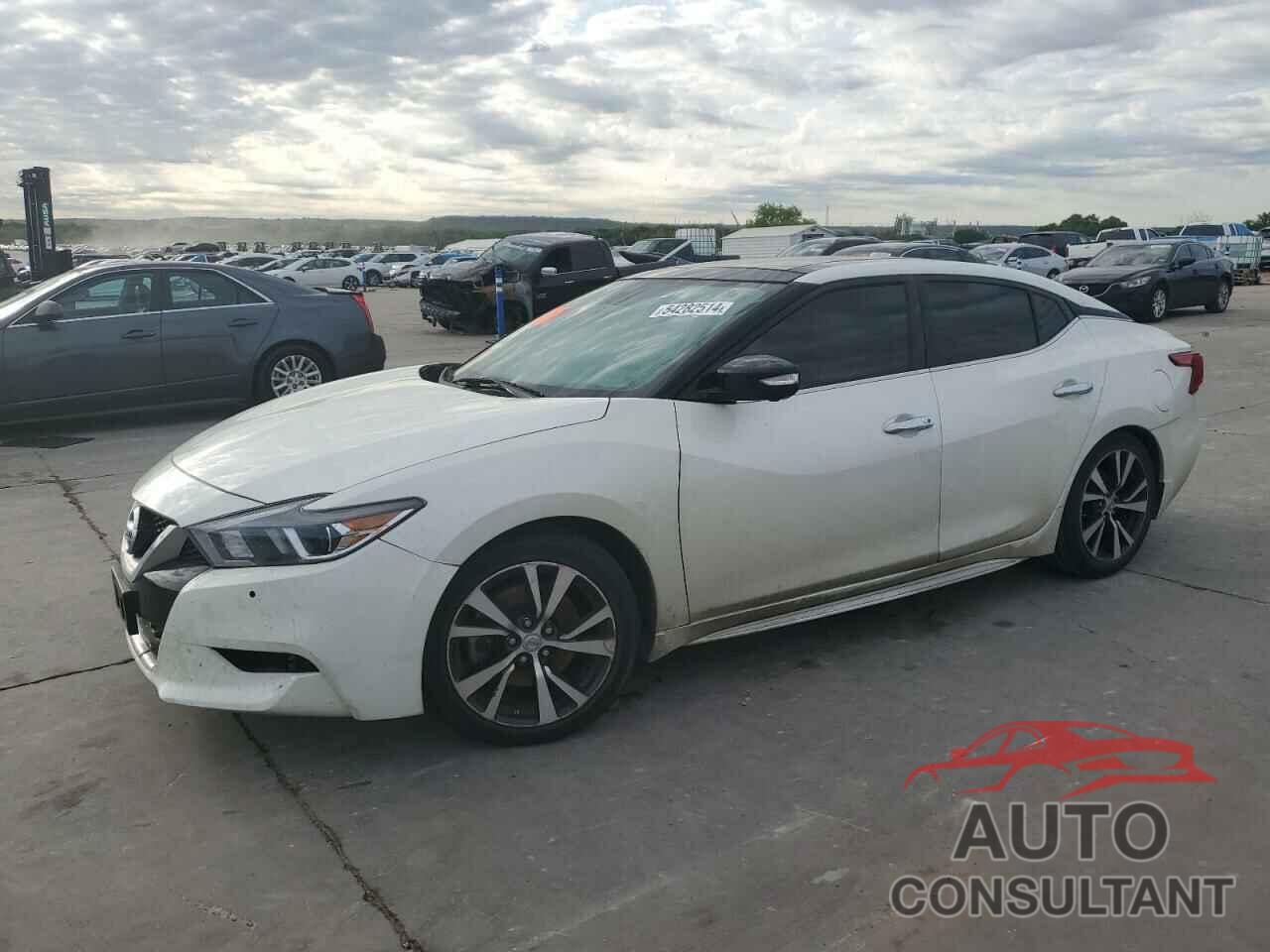 NISSAN MAXIMA 2017 - 1N4AA6AP5HC363166