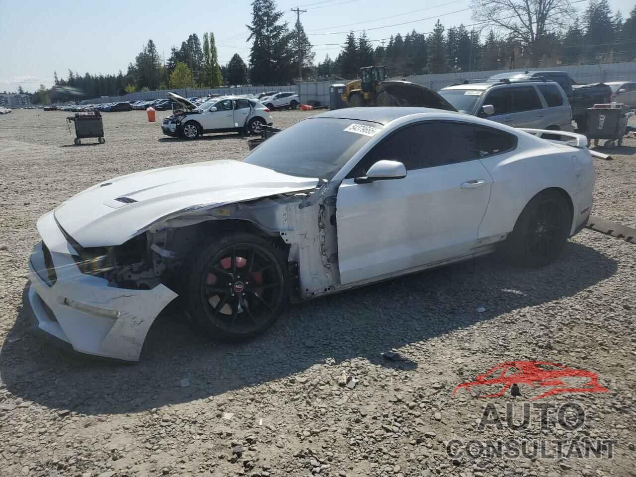 FORD MUSTANG 2019 - 1FA6P8CF1K5188978