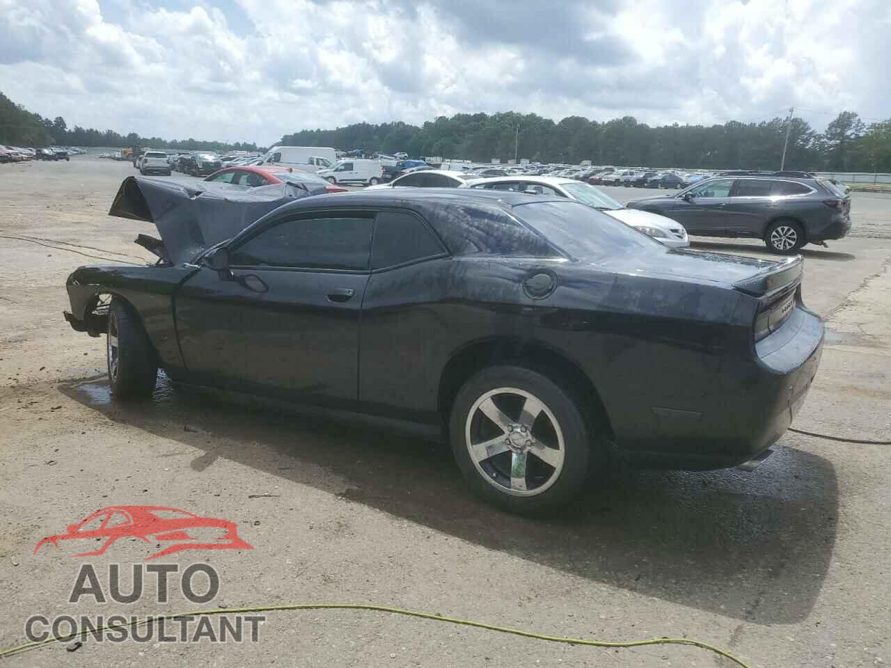 DODGE CHALLENGER 2013 - 2C3CDYAG2DH554254