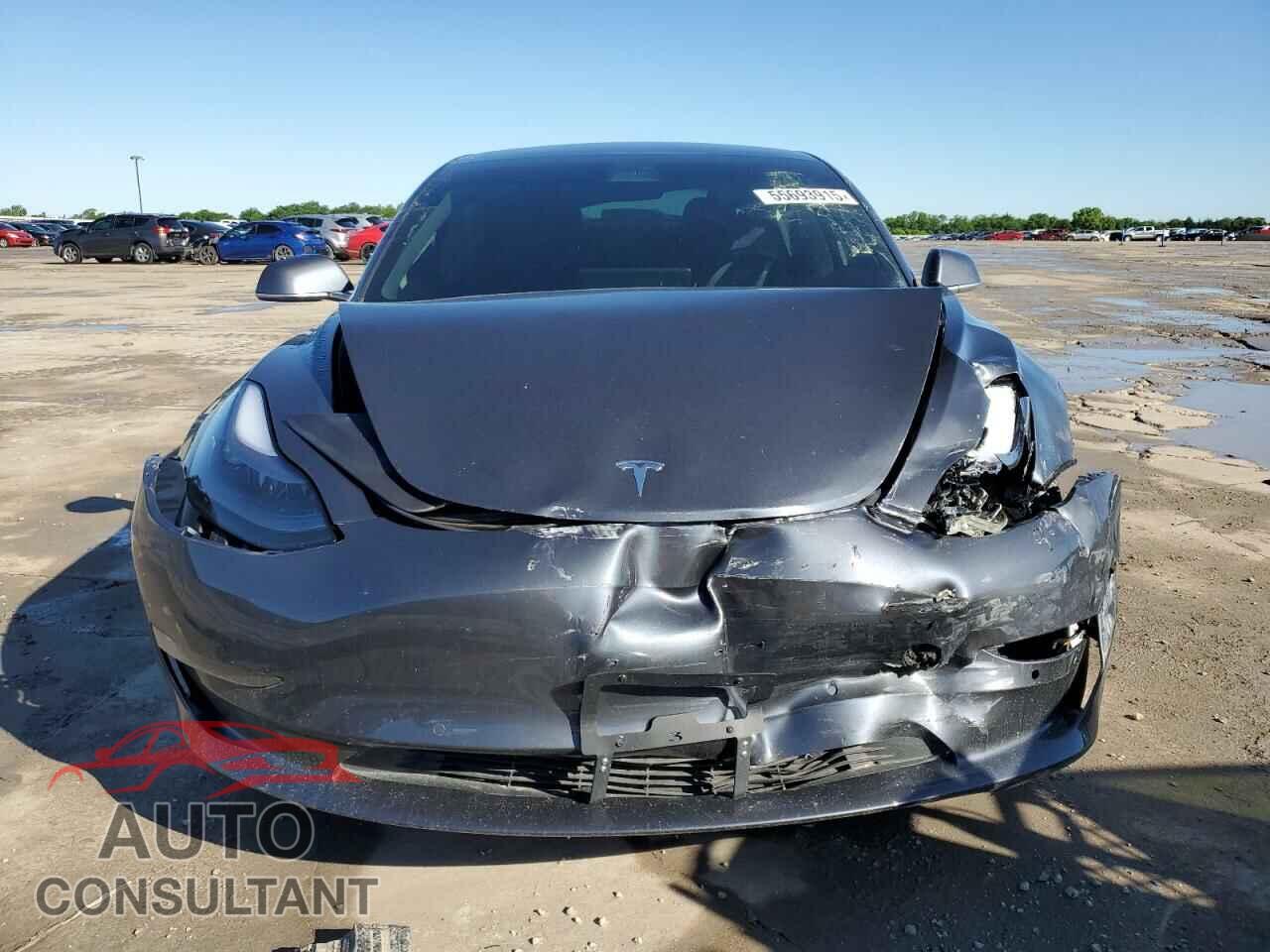 TESLA MODEL 3 2019 - 5YJ3E1EA2KF474929