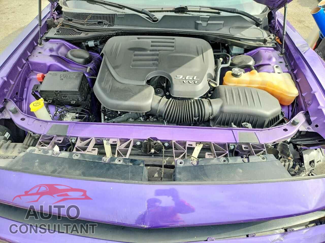 DODGE CHALLENGER 2019 - 2C3CDZAG0KH551503