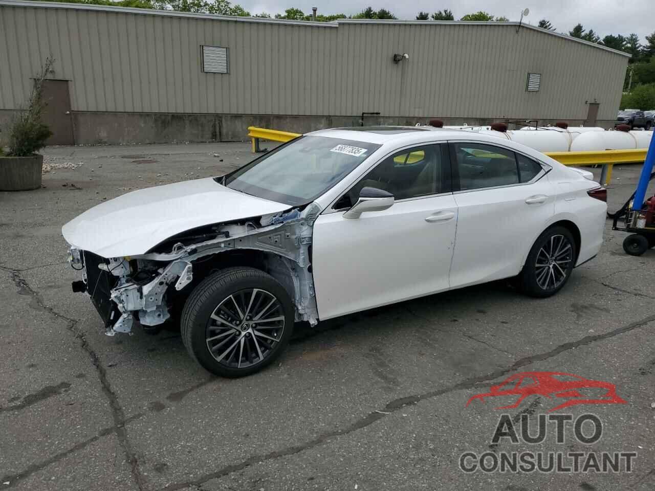LEXUS ES350 2024 - 58ADZ1B12RU162502