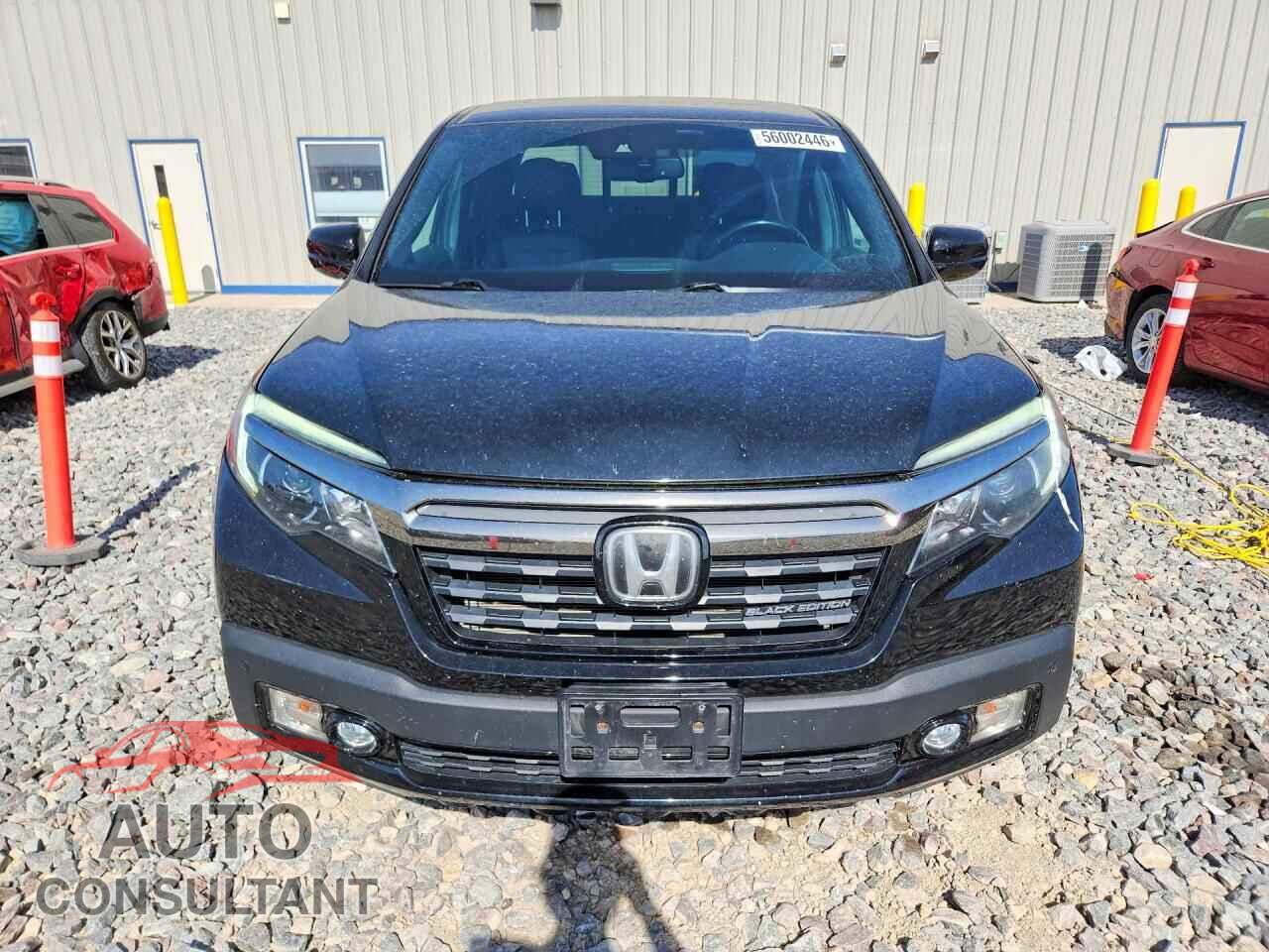 HONDA RIDGELINE 2019 - 5FPYK3F80KB040165
