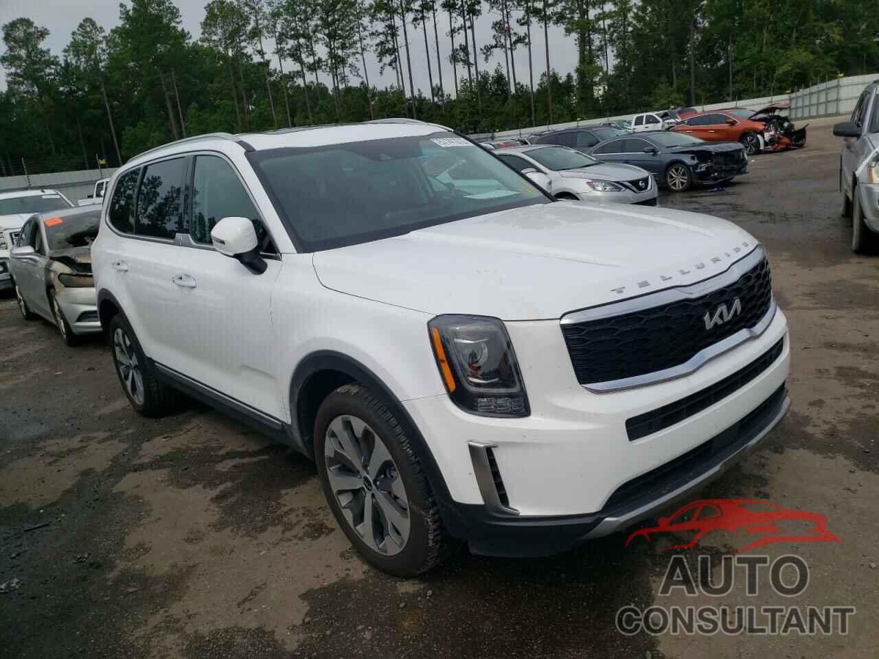 KIA TELLURIDE 2022 - 5XYP6DHC7NG251103