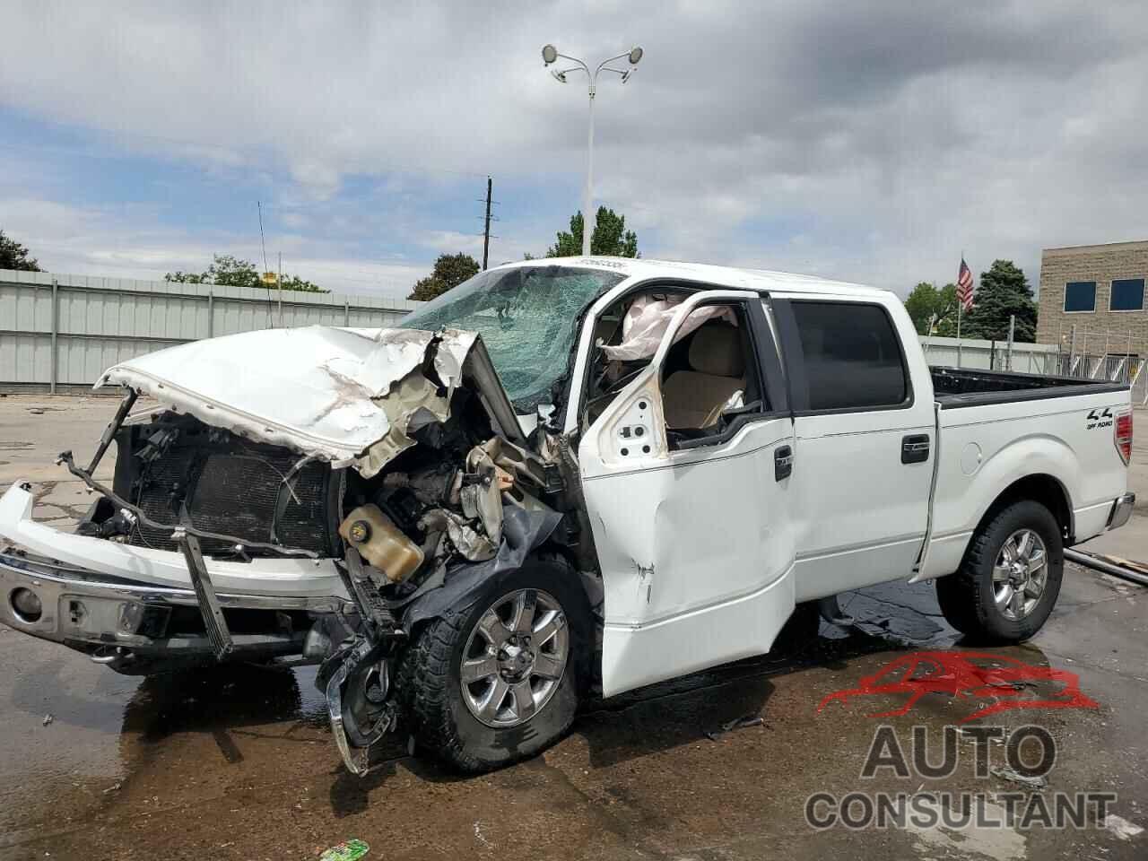 FORD F-150 2013 - 1FTFW1EF0DKD36740