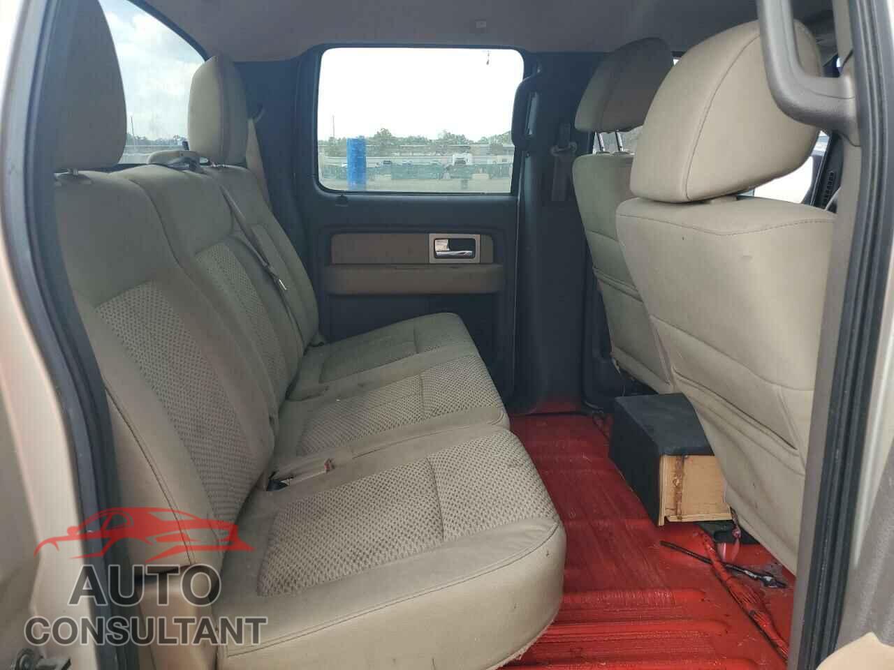 FORD F-150 2010 - 1FTEW1C8XAFC82271