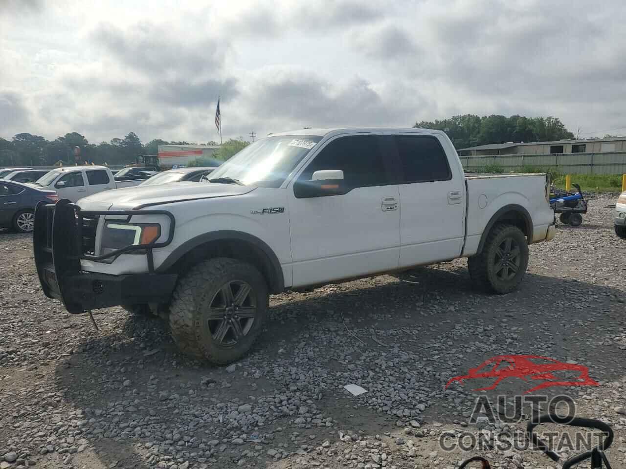 FORD F-150 2013 - 1FTFW1EF3DKD19320