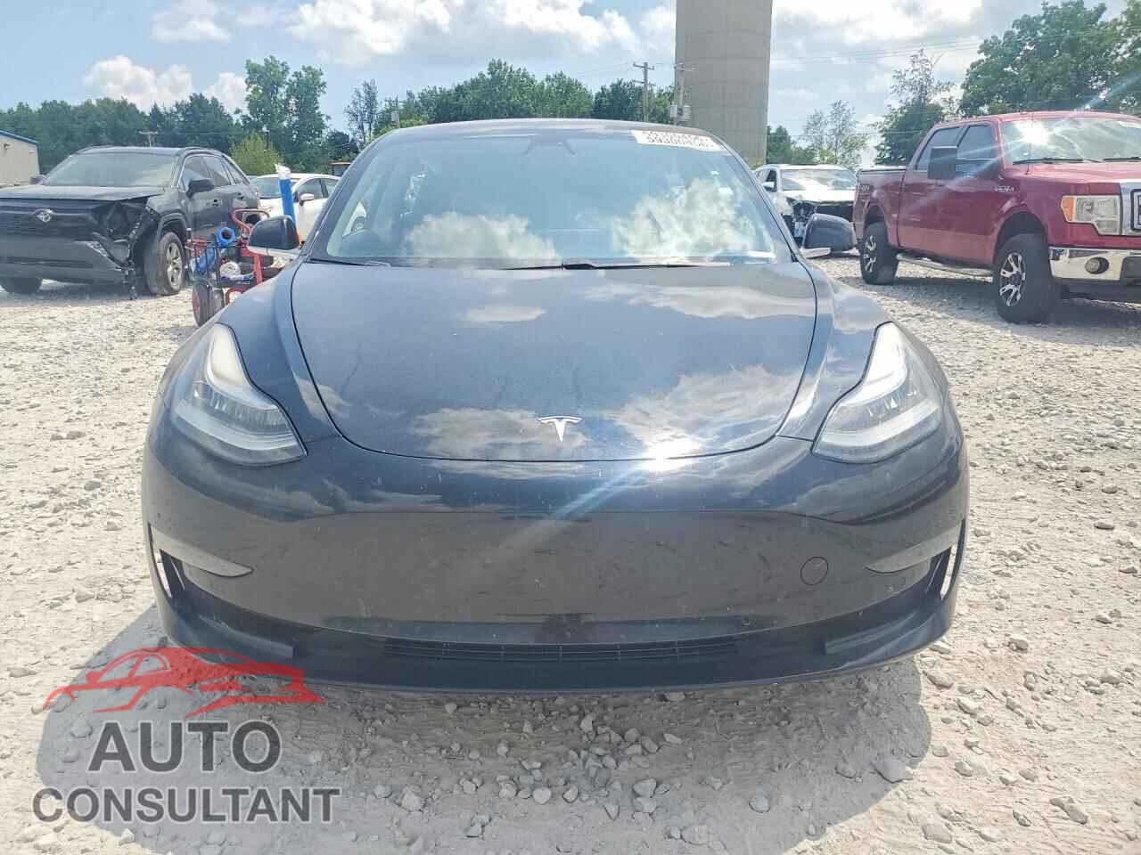TESLA MODEL 3 2019 - 5YJ3E1EB0KF208804