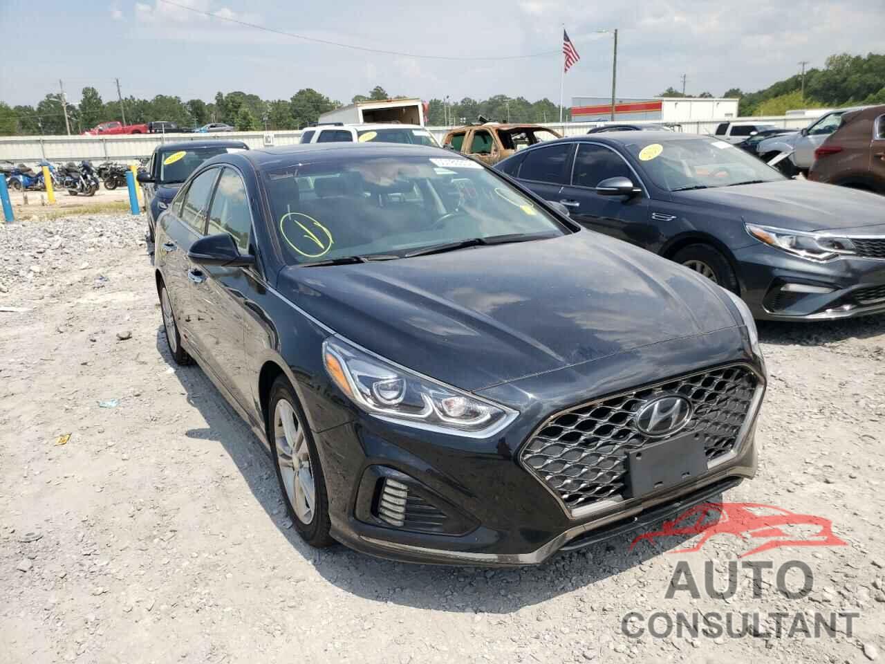 HYUNDAI SONATA 2019 - 5NPE34AFXKH744069